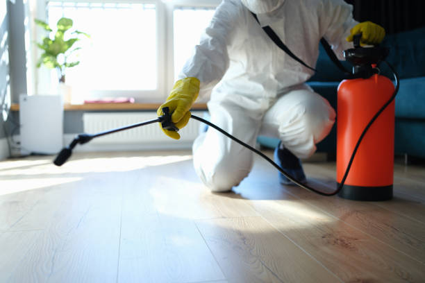 Reliable Odor Removal contractor in Quogue, NY by Dulley Family Biohazard Services